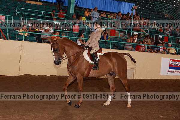 Proof 09yn-05112
