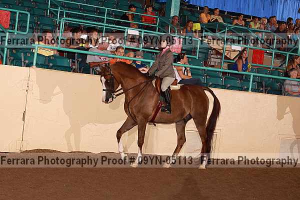 Proof 09yn-05113