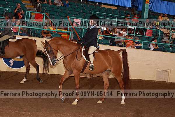 Proof 09yn-05114