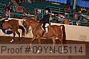 09yn-05114 proof