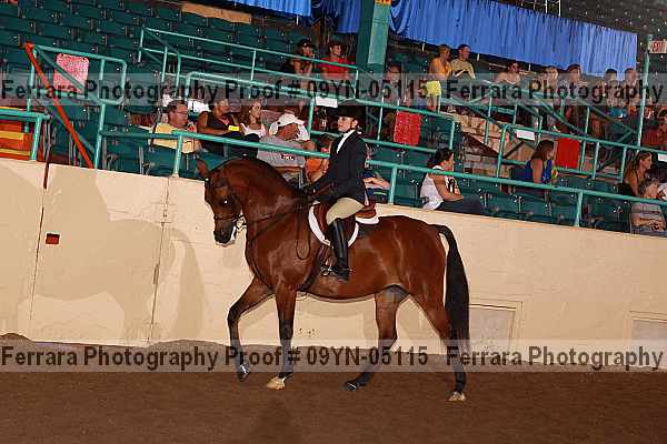 Proof 09yn-05115