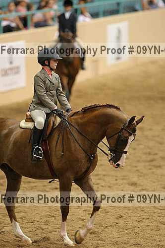 Proof 09yn-05116