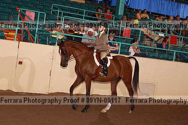 Proof 09yn-05117