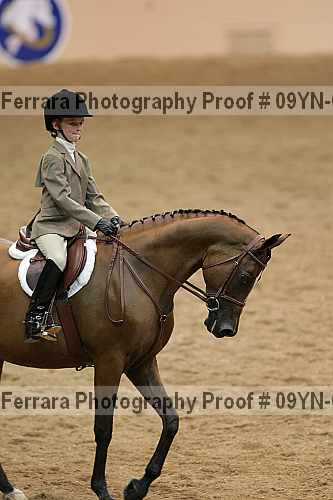 Proof 09yn-05119
