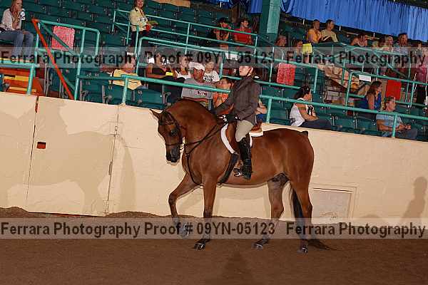 Proof 09yn-05123
