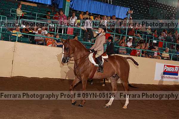 Proof 09yn-05125