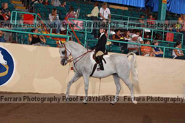 Proof 09yn-05126
