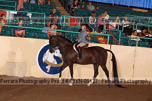 Proof 09yn-05127