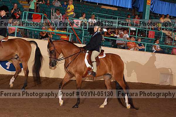 Proof 09yn-05130