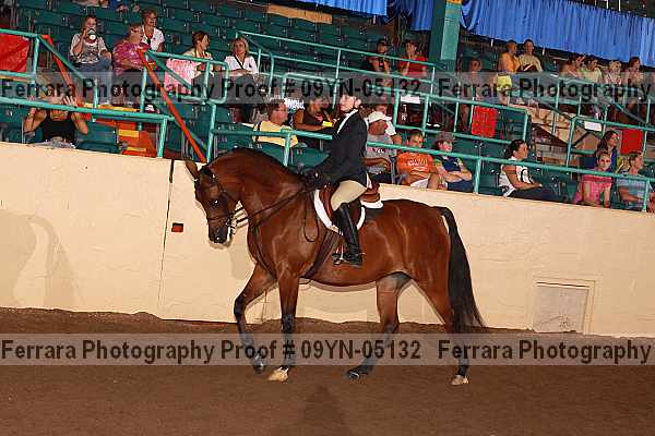 Proof 09yn-05132