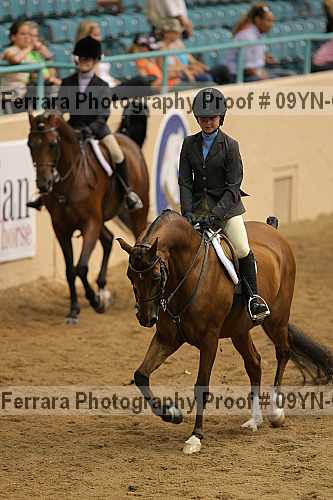 Proof 09yn-05136