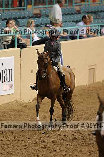 Proof 09yn-05137