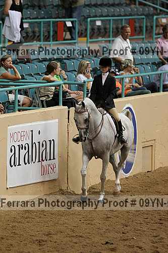 Proof 09yn-05138