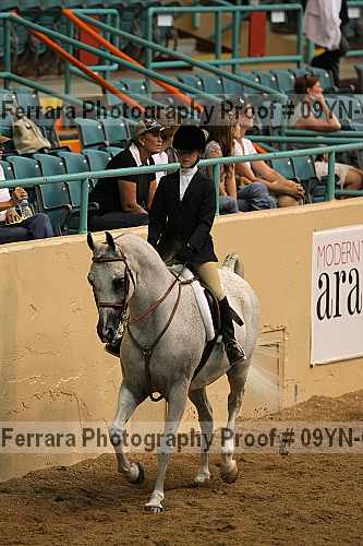 Proof 09yn-05139
