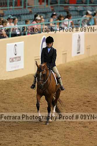 Proof 09yn-05141