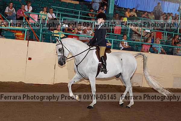 Proof 09yn-05145