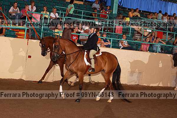Proof 09yn-05148