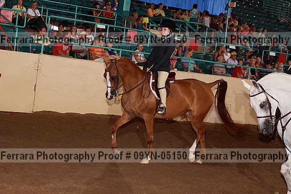 Proof 09yn-05150