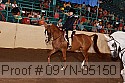 09yn-05150 proof