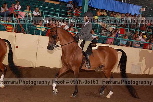 Proof 09yn-05153
