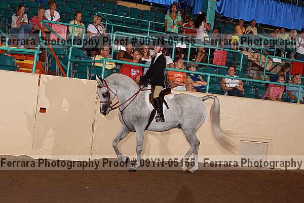 Proof 09yn-05155