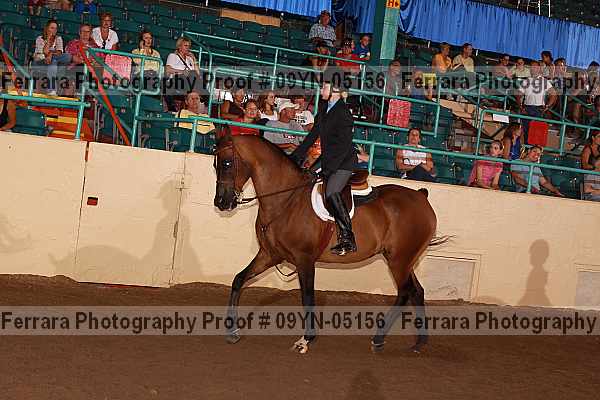 Proof 09yn-05156