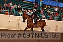 09yn-05156 proof