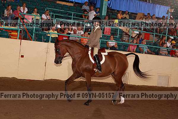 Proof 09yn-05157