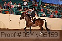 09yn-05159 proof