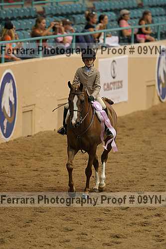 Proof 09yn-05163