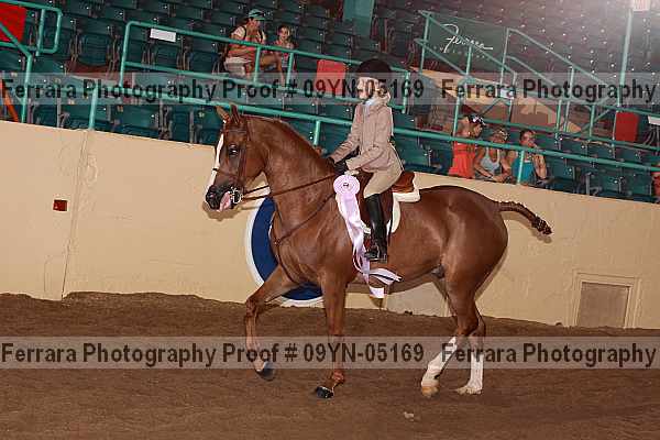 Proof 09yn-05169