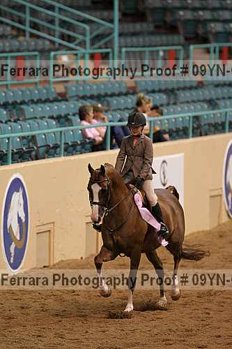 Proof 09yn-05173