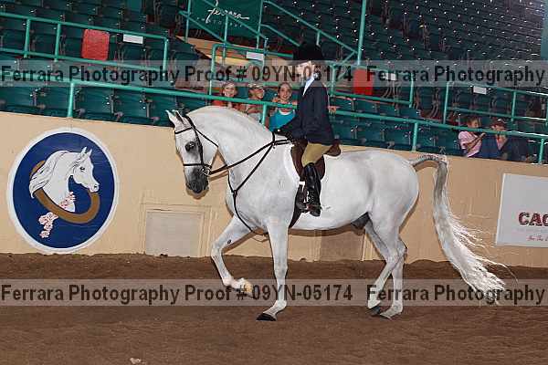 Proof 09yn-05174