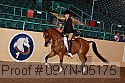 09yn-05175 proof