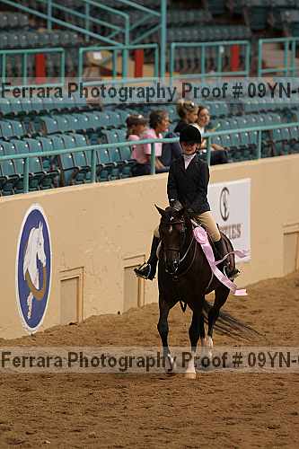 Proof 09yn-05176