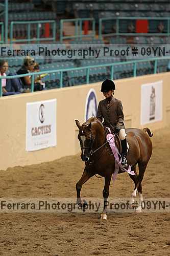 Proof 09yn-05177