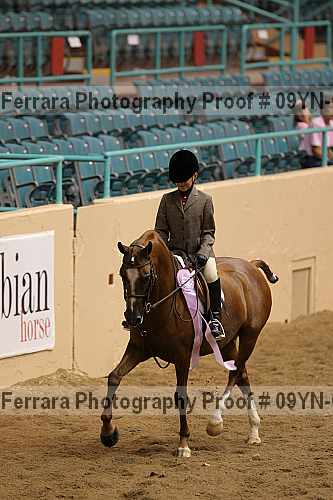 Proof 09yn-05178