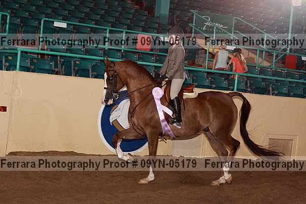 Proof 09yn-05179