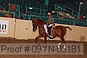 09yn-05181 proof