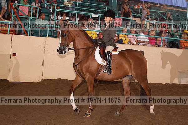 Proof 09yn-11675
