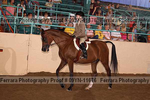 Proof 09yn-11676