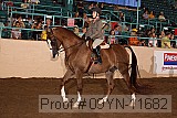 09yn-11682 proof