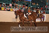 09yn-11683 proof