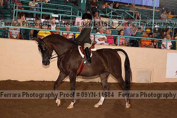 Proof 09yn-11684