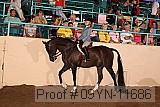 09yn-11686 proof