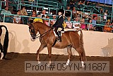 09yn-11687 proof
