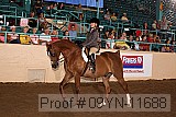 09yn-11688 proof