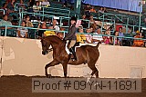 09yn-11691 proof