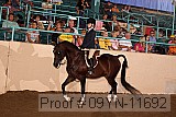 09yn-11692 proof