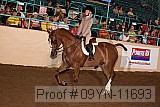 09yn-11693 proof